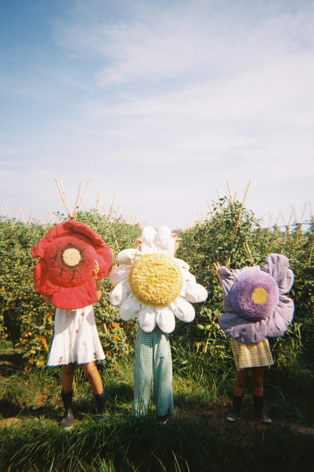 Petals&Pals, Lattiatyyny, Purple Poppy