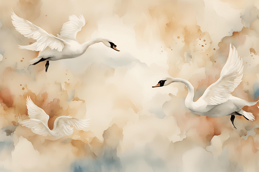 Valokuvatapetti, Swans