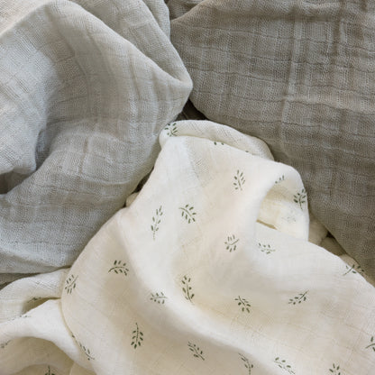Zebra, Harsot 3-pack, Sophora-löv
