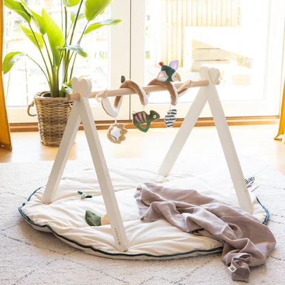 Zebra, Baby Gym