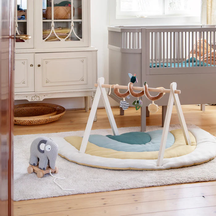 Zebra, Baby Gym