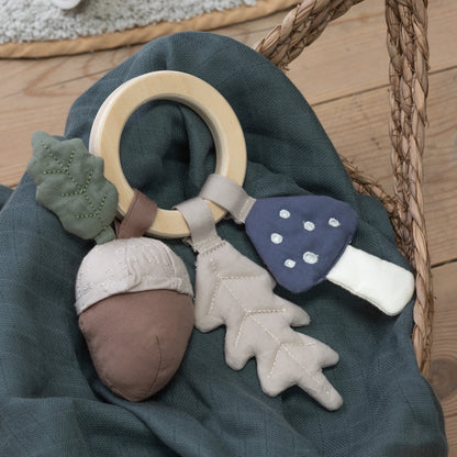 Zebra, Activity toy, Acorn