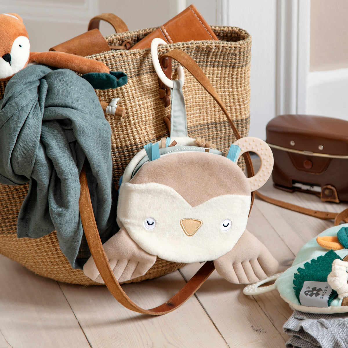 Zebra, Aktivitetsbok, Blinky the Owl