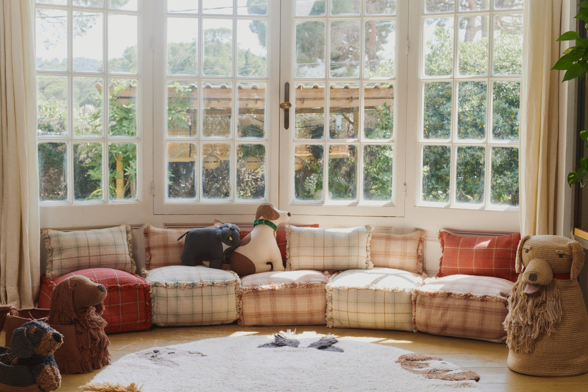 Washable Rug, Dogs