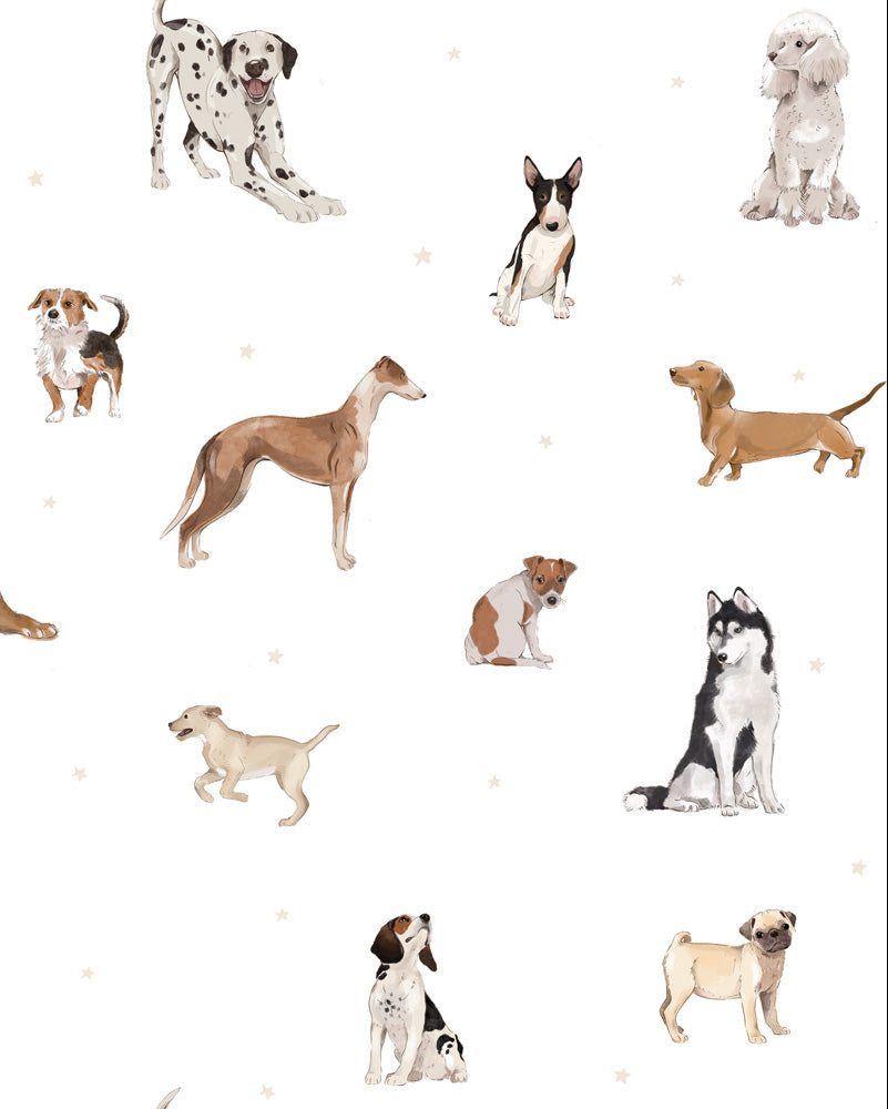 Dekornik, Dogs are the best, Tapetti
