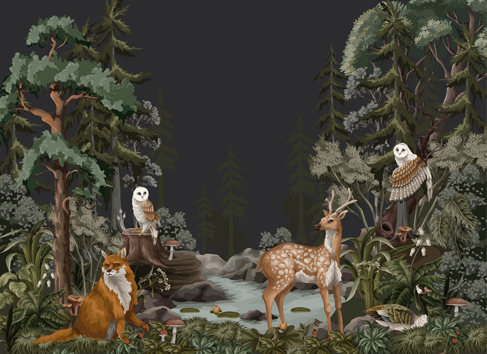 Photo wallpaper, Forest at Night