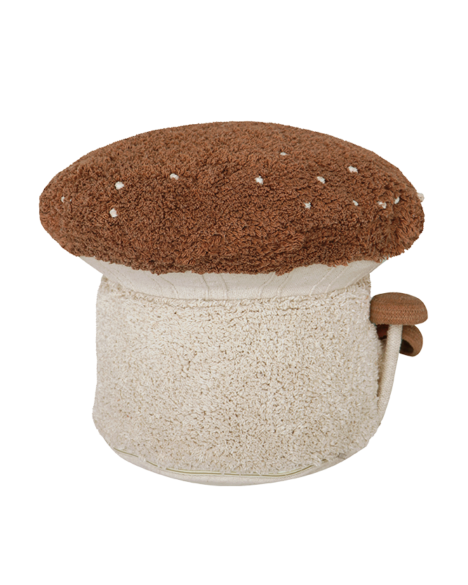 Mushroom Hunting, Rahi, Boletus
