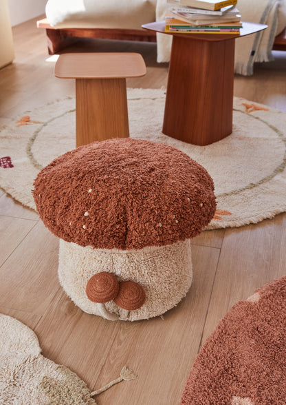 Mushroom Hunting, Rahi, Boletus