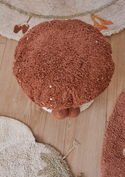 Mushroom Hunting, Rahi, Boletus