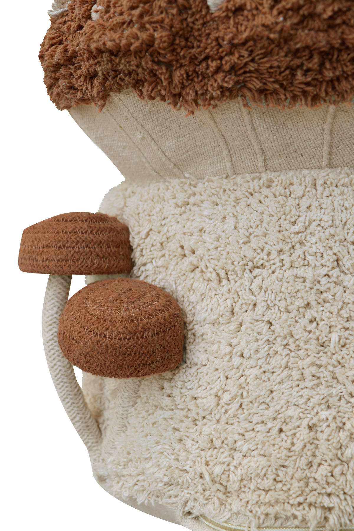 Mushroom Hunting, Rahi, Boletus