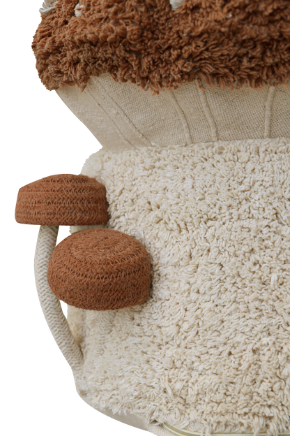 Mushroom Hunting, Rahi, Boletus
