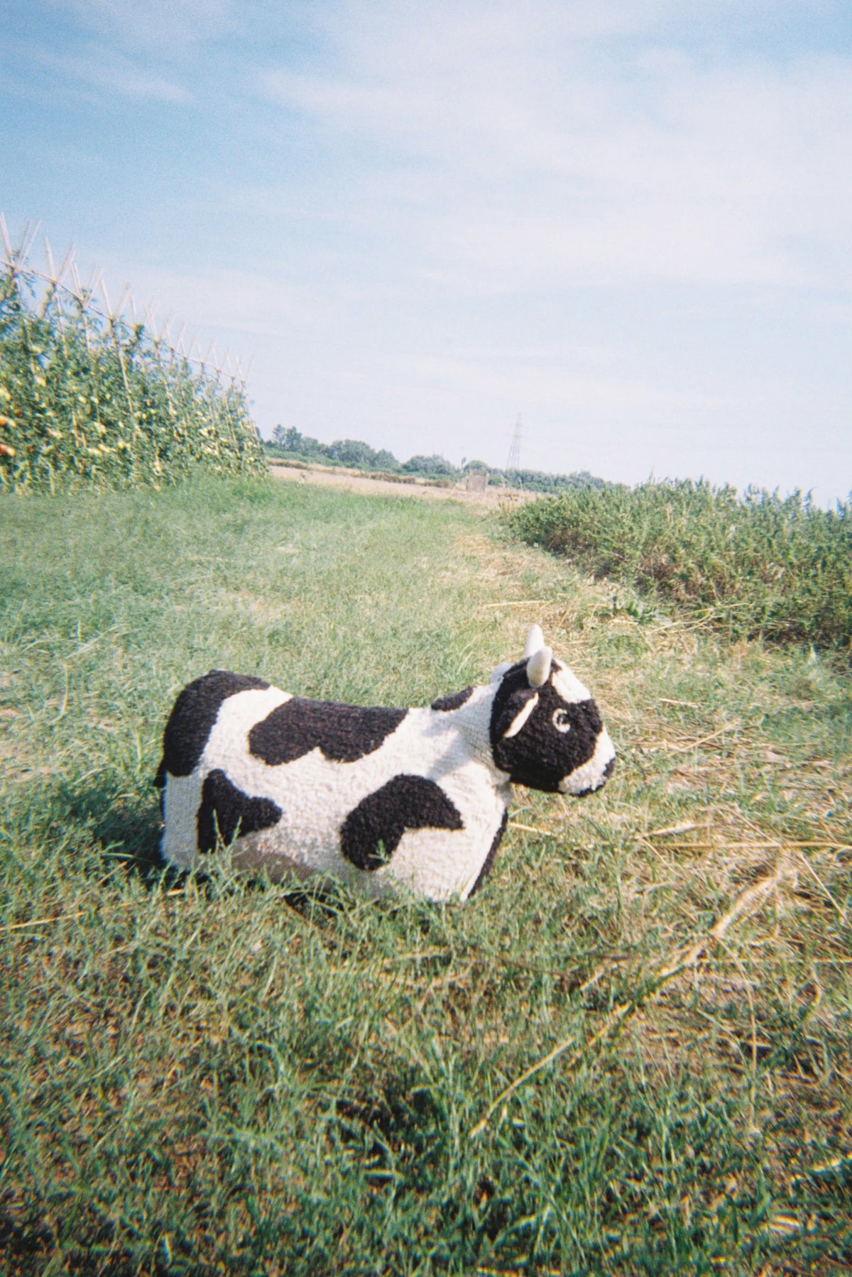 Petals&Pals, Lattiatyyny, Lola the Cow